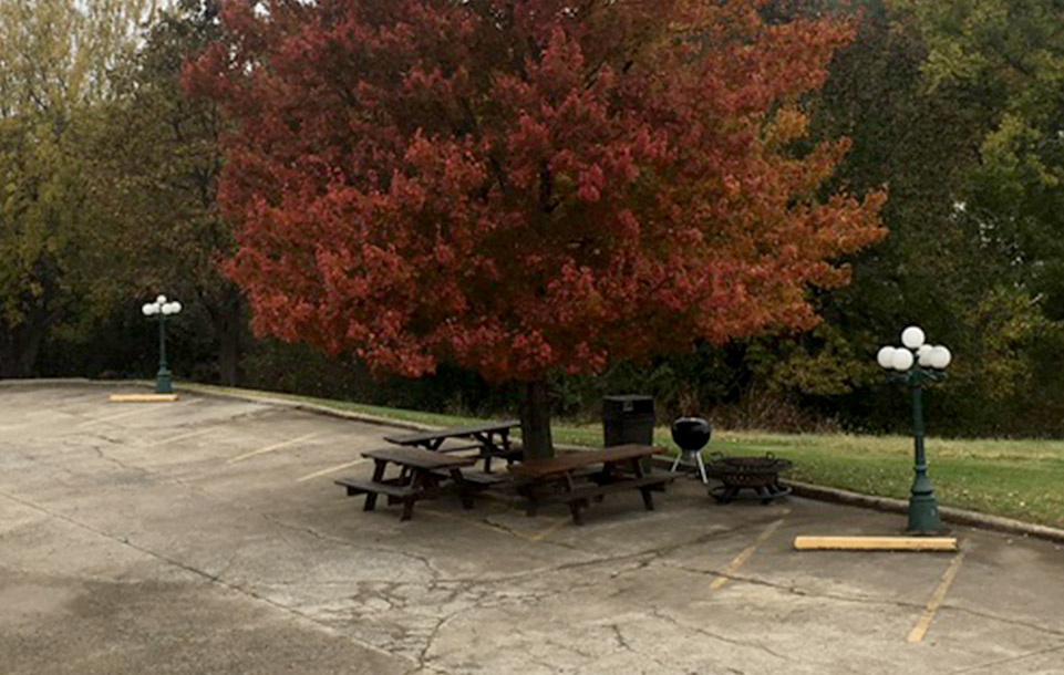 Picnic and BBQ area